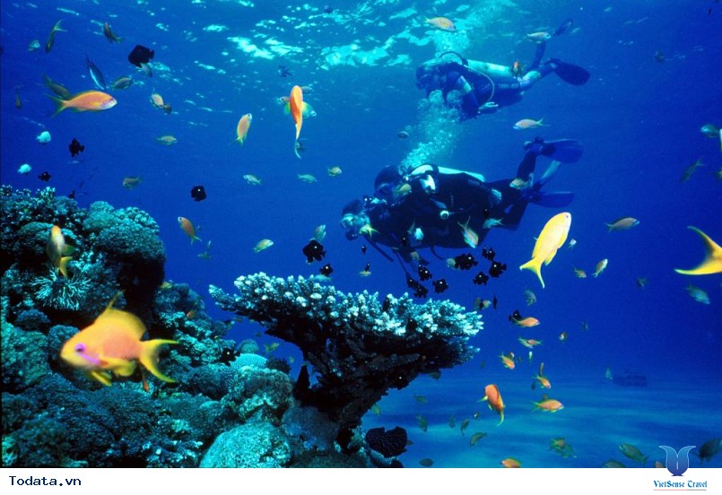 những Điều Cần Biết Khi Đi Du Lịch Nha Trang 2